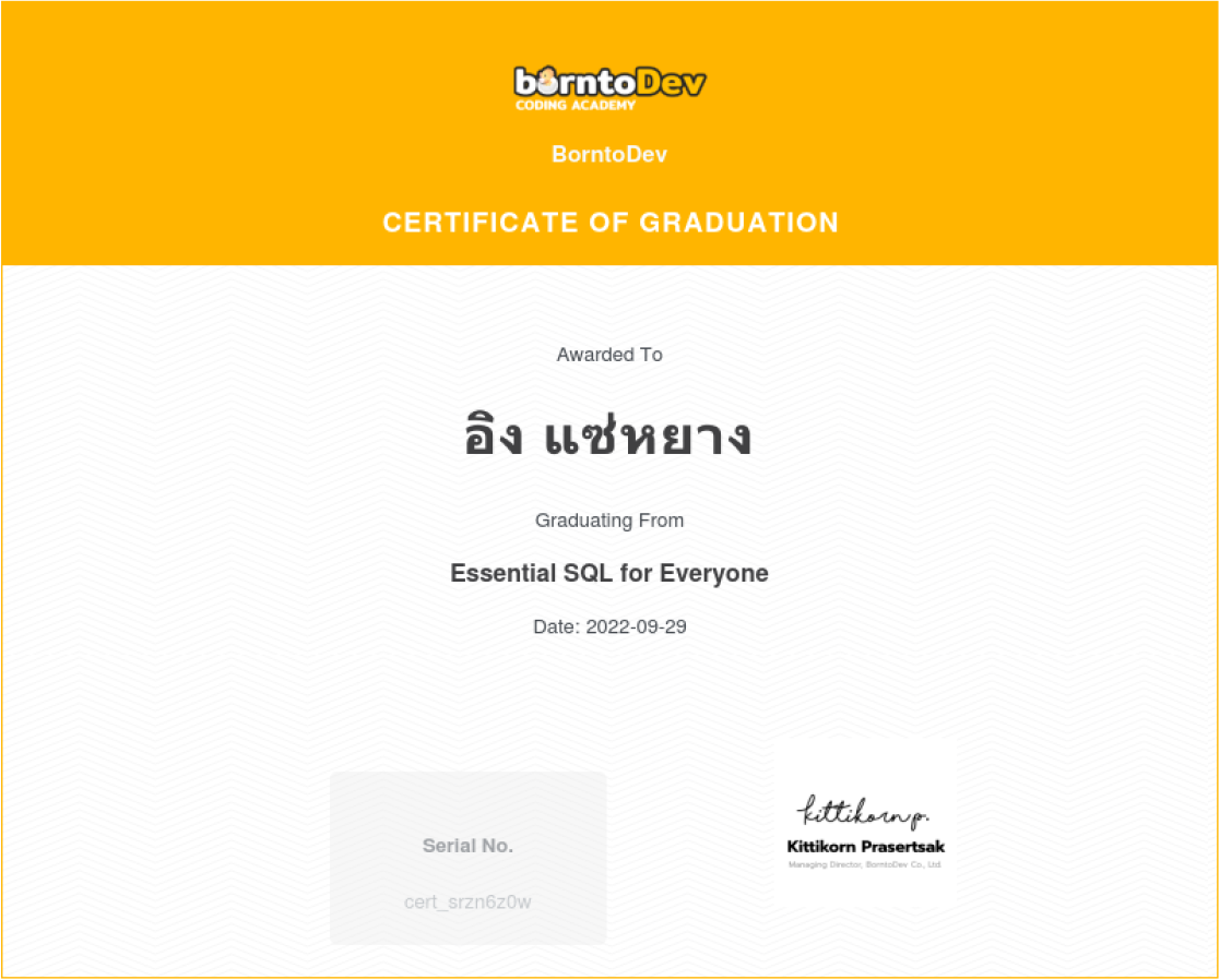 basic
                        sql language